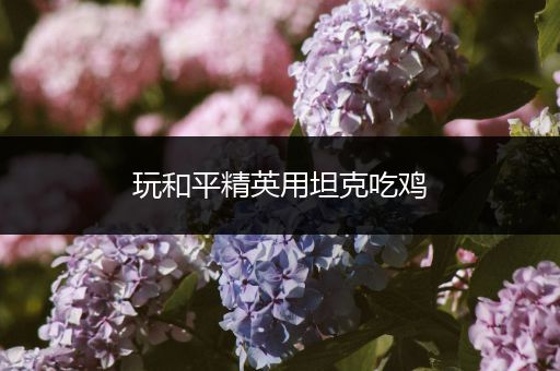 玩和平精英用坦克吃鸡