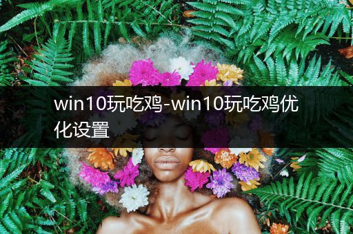 win10玩吃鸡-win10玩吃鸡优化设置