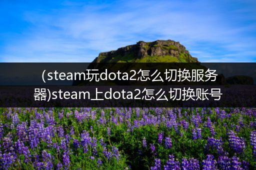 （steam玩dota2怎么切换服务器)steam上dota2怎么切换账号