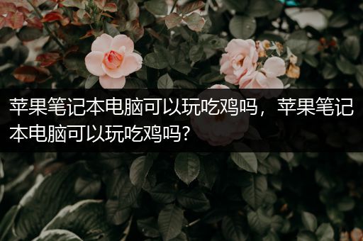 苹果笔记本电脑可以玩吃鸡吗，苹果笔记本电脑可以玩吃鸡吗?