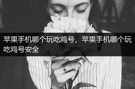苹果手机哪个玩吃鸡号，苹果手机哪个玩吃鸡号安全