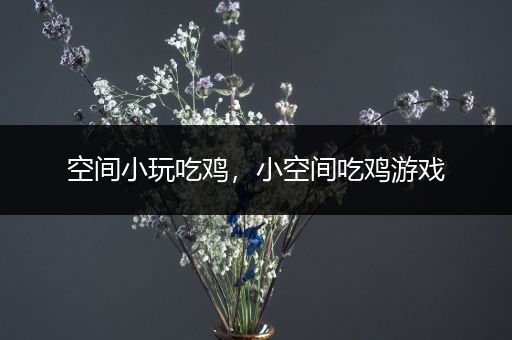 空间小玩吃鸡，小空间吃鸡游戏