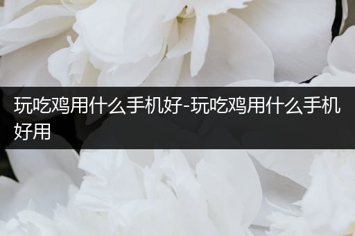 玩吃鸡用什么手机好-玩吃鸡用什么手机好用