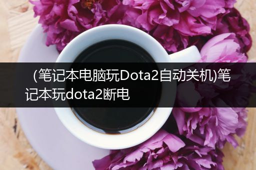 （笔记本电脑玩Dota2自动关机)笔记本玩dota2断电