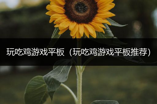 玩吃鸡游戏平板（玩吃鸡游戏平板推荐）