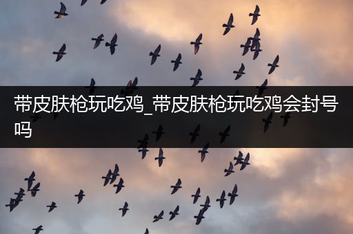 带皮肤枪玩吃鸡_带皮肤枪玩吃鸡会封号吗