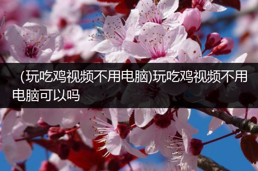 （玩吃鸡视频不用电脑)玩吃鸡视频不用电脑可以吗