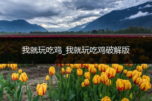 我就玩吃鸡_我就玩吃鸡破解版