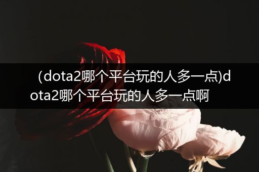 （dota2哪个平台玩的人多一点)dota2哪个平台玩的人多一点啊