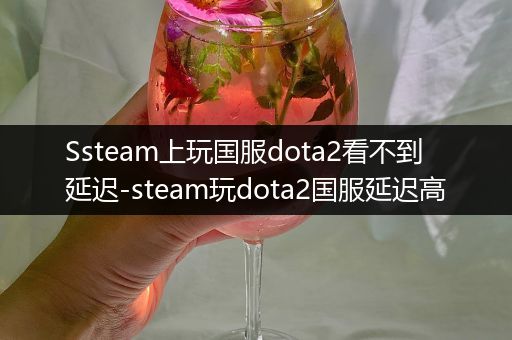 Ssteam上玩国服dota2看不到延迟-steam玩dota2国服延迟高