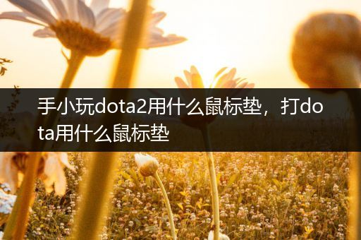 手小玩dota2用什么鼠标垫，打dota用什么鼠标垫