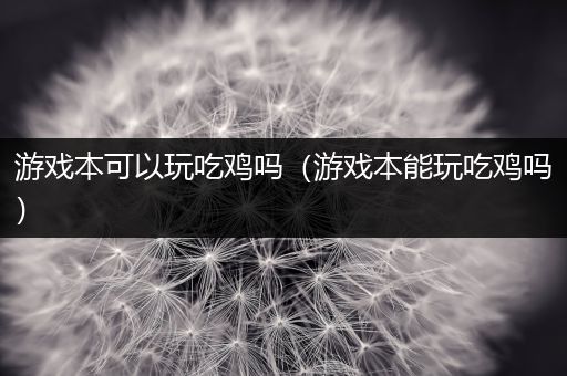 游戏本可以玩吃鸡吗（游戏本能玩吃鸡吗）