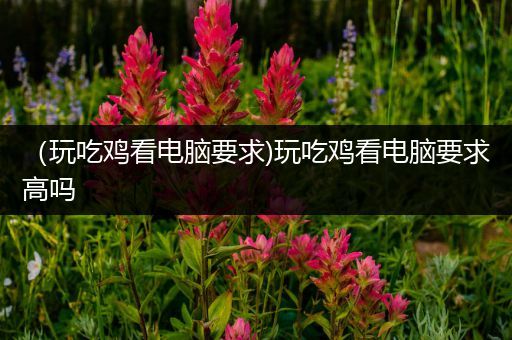 （玩吃鸡看电脑要求)玩吃鸡看电脑要求高吗