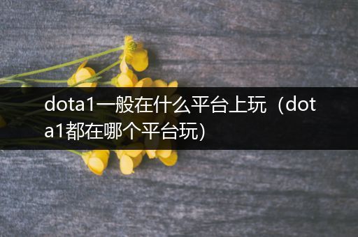 dota1一般在什么平台上玩（dota1都在哪个平台玩）