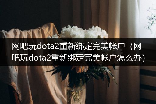 网吧玩dota2重新绑定完美帐户（网吧玩dota2重新绑定完美帐户怎么办）