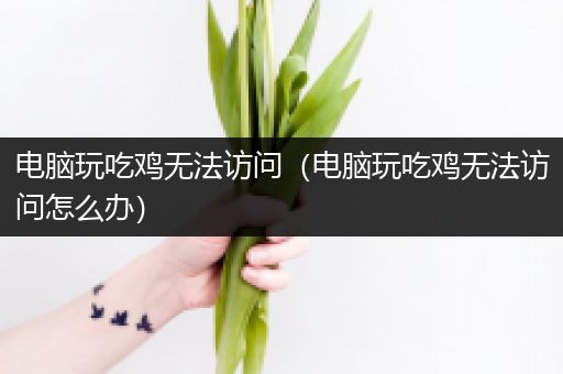 电脑玩吃鸡无法访问（电脑玩吃鸡无法访问怎么办）