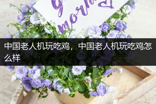 中国老人机玩吃鸡，中国老人机玩吃鸡怎么样