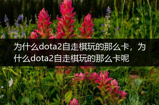 为什么dota2自走棋玩的那么卡，为什么dota2自走棋玩的那么卡呢