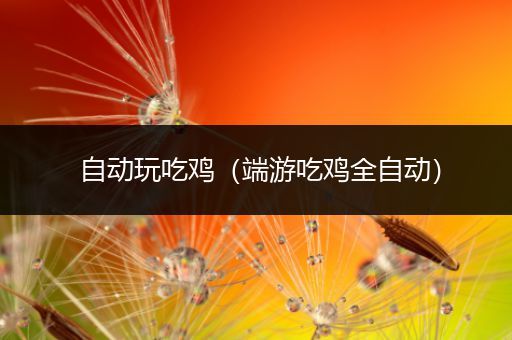 自动玩吃鸡（端游吃鸡全自动）