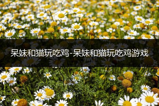 呆妹和猫玩吃鸡-呆妹和猫玩吃鸡游戏