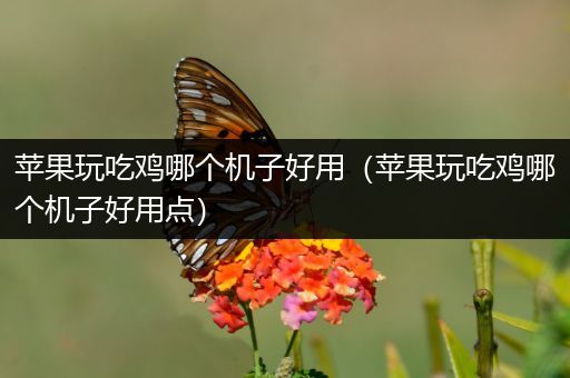 苹果玩吃鸡哪个机子好用（苹果玩吃鸡哪个机子好用点）