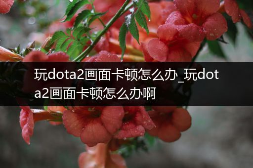玩dota2画面卡顿怎么办_玩dota2画面卡顿怎么办啊