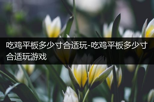 吃鸡平板多少寸合适玩-吃鸡平板多少寸合适玩游戏