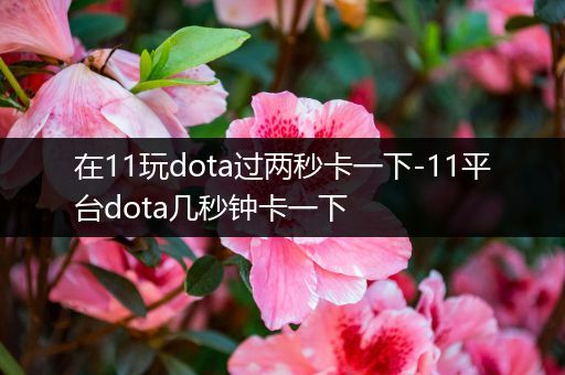 在11玩dota过两秒卡一下-11平台dota几秒钟卡一下