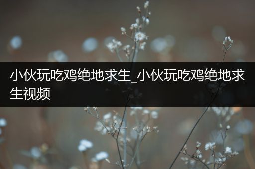 小伙玩吃鸡绝地求生_小伙玩吃鸡绝地求生视频