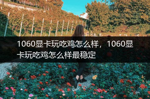 1060显卡玩吃鸡怎么样，1060显卡玩吃鸡怎么样最稳定
