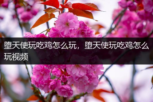 堕天使玩吃鸡怎么玩，堕天使玩吃鸡怎么玩视频