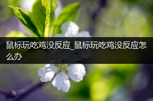 鼠标玩吃鸡没反应_鼠标玩吃鸡没反应怎么办