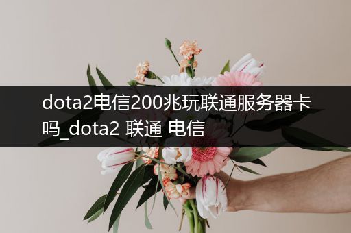 dota2电信200兆玩联通服务器卡吗_dota2 联通 电信