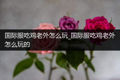 国际服吃鸡老外怎么玩_国际服吃鸡老外怎么玩的
