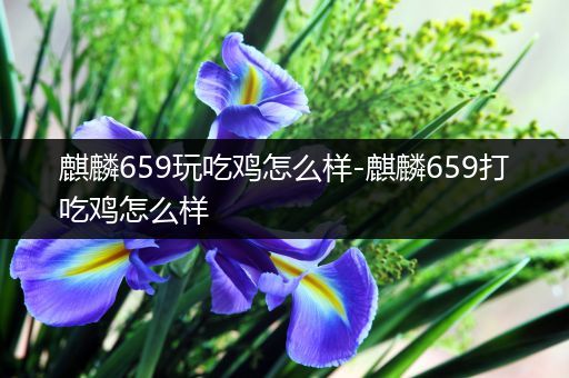 麒麟659玩吃鸡怎么样-麒麟659打吃鸡怎么样