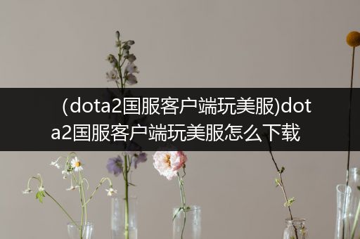 （dota2国服客户端玩美服)dota2国服客户端玩美服怎么下载