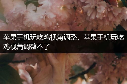 苹果手机玩吃鸡视角调整，苹果手机玩吃鸡视角调整不了