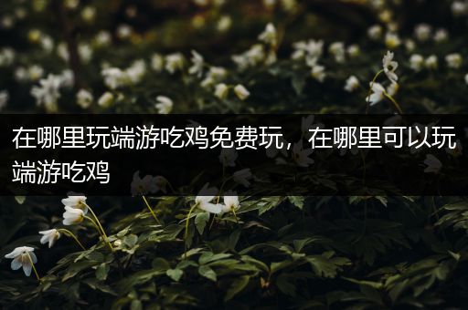 在哪里玩端游吃鸡免费玩，在哪里可以玩端游吃鸡