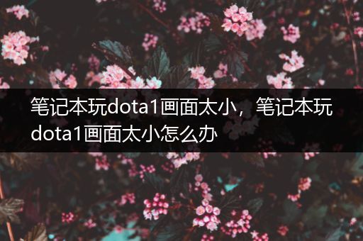 笔记本玩dota1画面太小，笔记本玩dota1画面太小怎么办