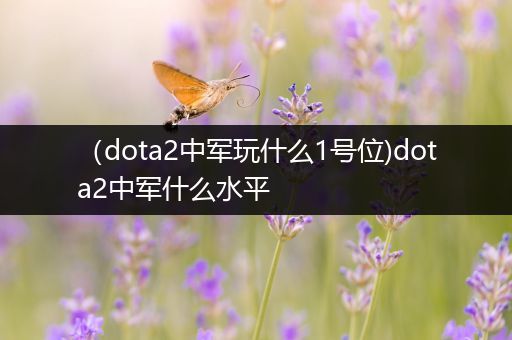 （dota2中军玩什么1号位)dota2中军什么水平