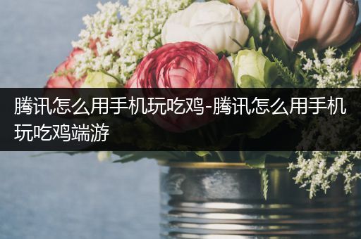 腾讯怎么用手机玩吃鸡-腾讯怎么用手机玩吃鸡端游