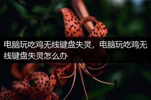电脑玩吃鸡无线键盘失灵，电脑玩吃鸡无线键盘失灵怎么办