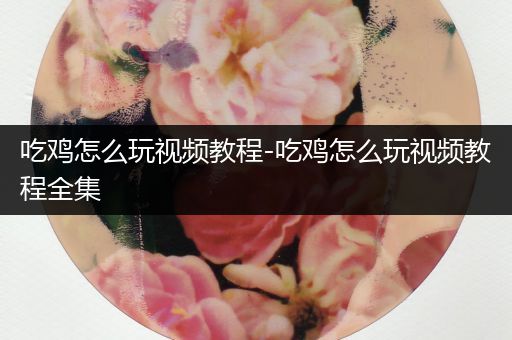 吃鸡怎么玩视频教程-吃鸡怎么玩视频教程全集