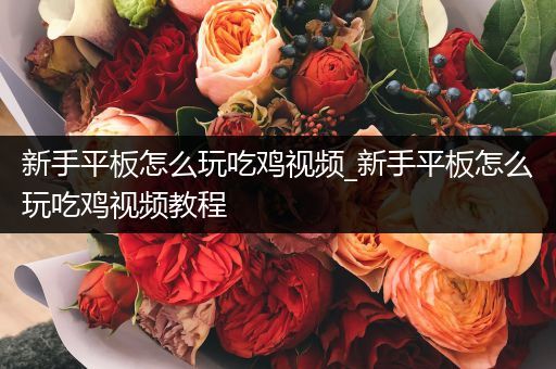 新手平板怎么玩吃鸡视频_新手平板怎么玩吃鸡视频教程