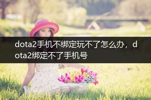 dota2手机不绑定玩不了怎么办，dota2绑定不了手机号