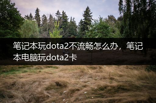 笔记本玩dota2不流畅怎么办，笔记本电脑玩dota2卡