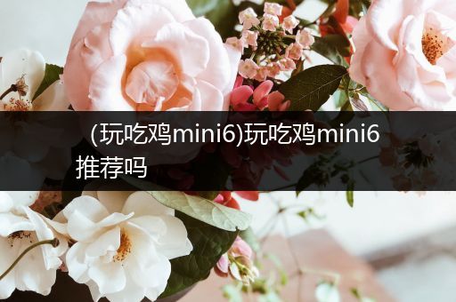 （玩吃鸡mini6)玩吃鸡mini6推荐吗