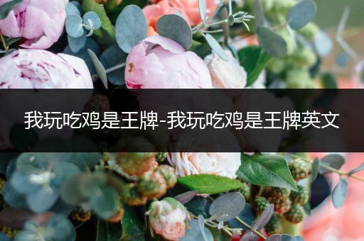 我玩吃鸡是王牌-我玩吃鸡是王牌英文