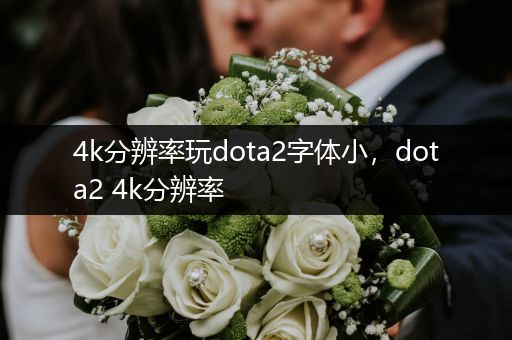 4k分辨率玩dota2字体小，dota2 4k分辨率