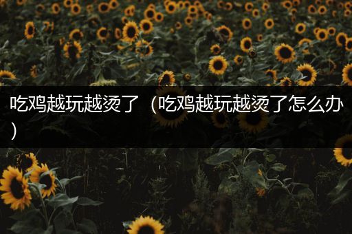 吃鸡越玩越烫了（吃鸡越玩越烫了怎么办）